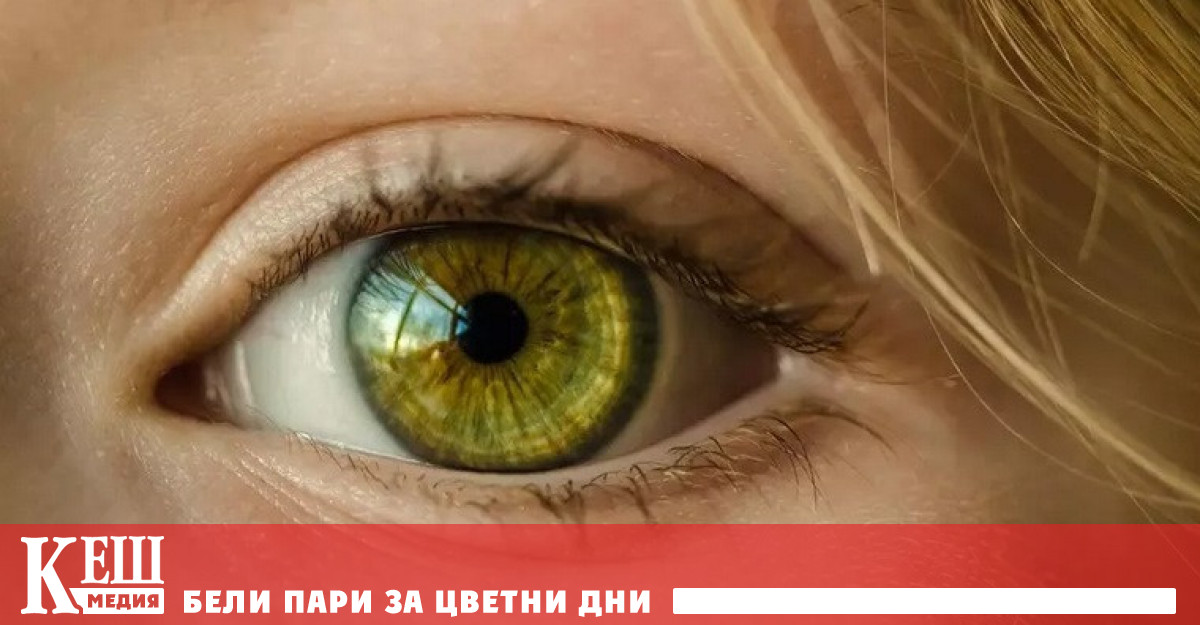 Учени от Университета на Илинойс в Чикаго стигнаха до заключението