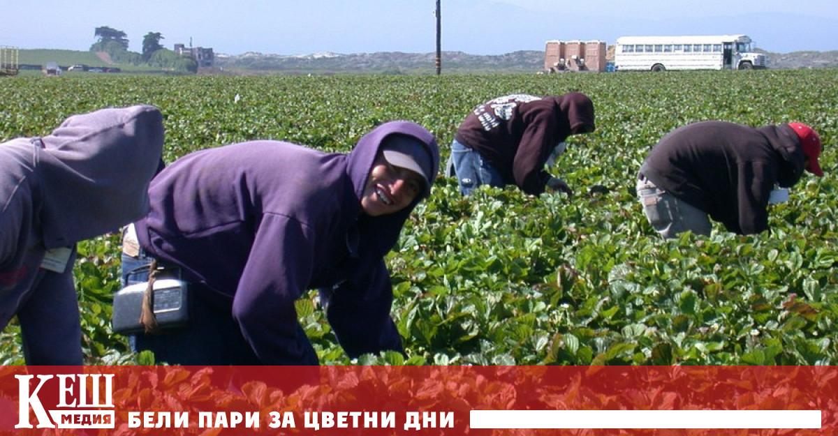 По оценка на британското правителство през 2020 г жертви на