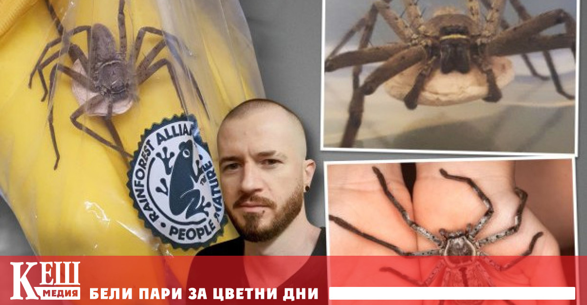 Пред The Sun потърпевшият казва Първоначално бях просто в шок