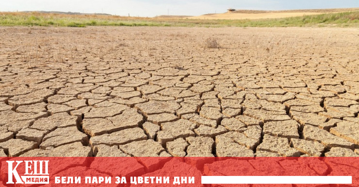 Bloomberg предупреждава за възможно увеличаване на инфлацията на храните и