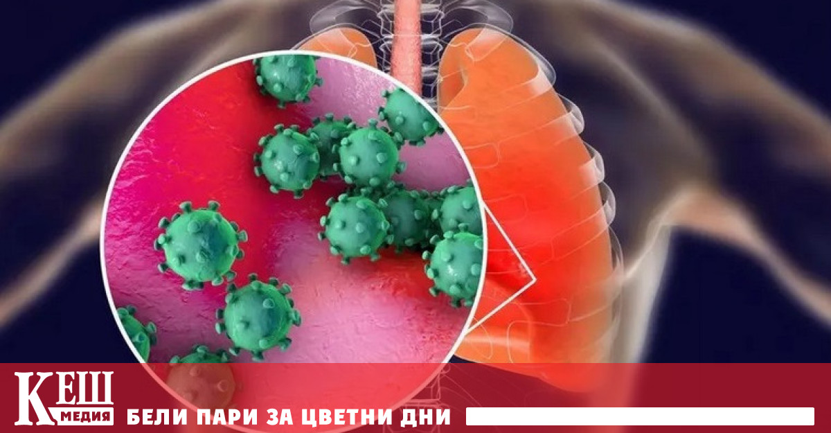 Група изследователи от Института Франсис Крик откриха че останки от