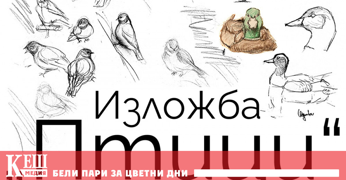 Част от огромното царство на птиците в България може да