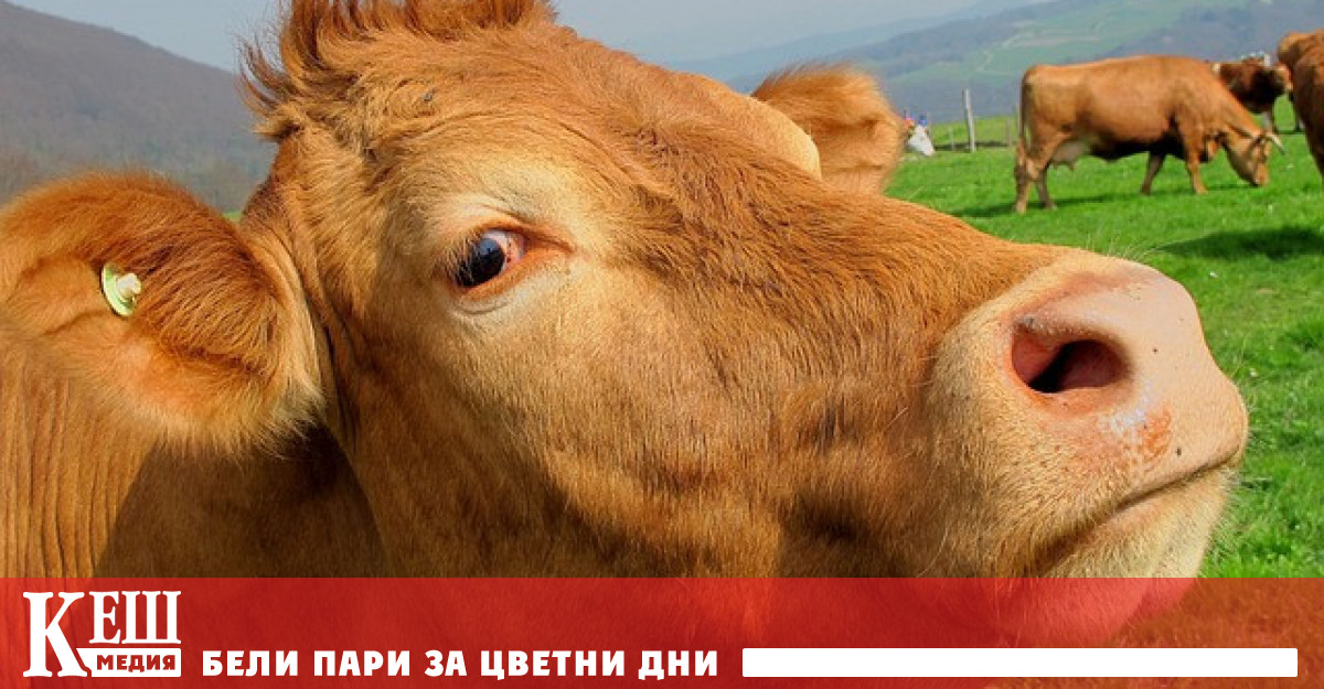 Прекомерното развитие на животновъдство застрашава естествения баланс Европейското законодателство се