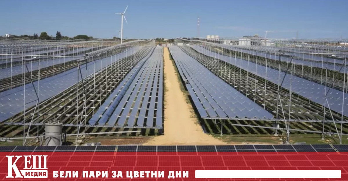 В известния си роман Гепардът италианският писател Джузепе Томази ди