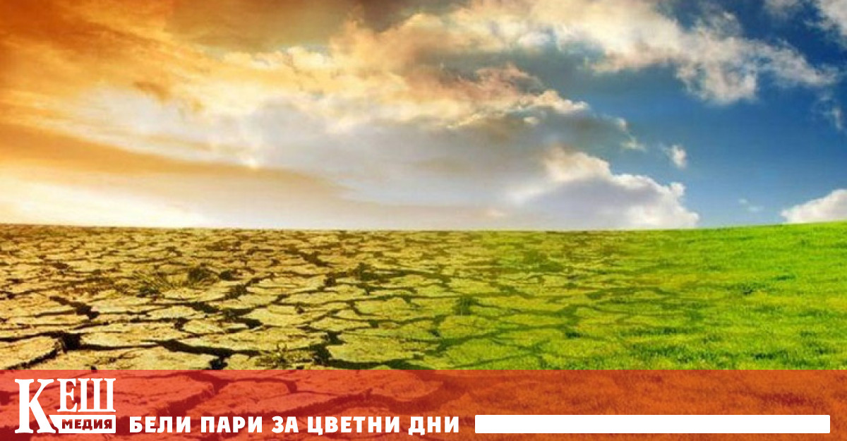 Това се дължи на изменението на климата на планетата причинено