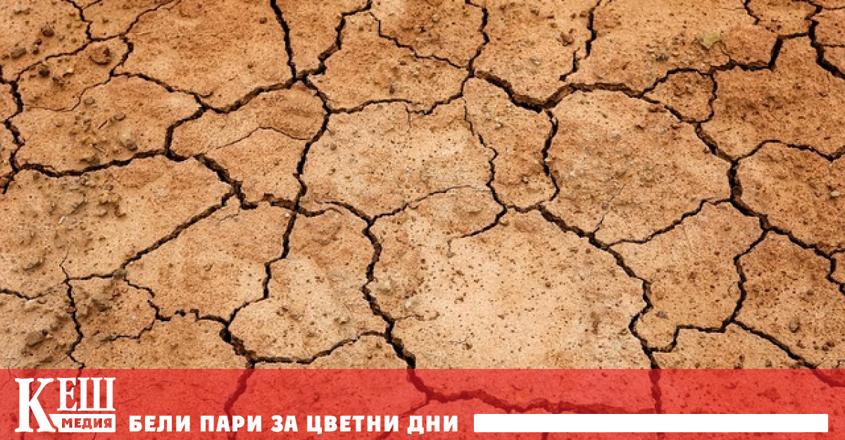 Португалските власти са поискали помощ от официален Брюксел за селскостопанския