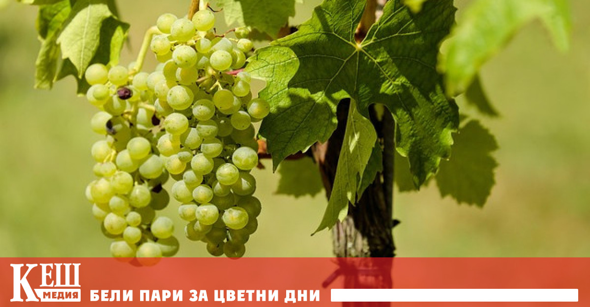 Този режим е одобрен съгласно Временните правила за държавна помощ