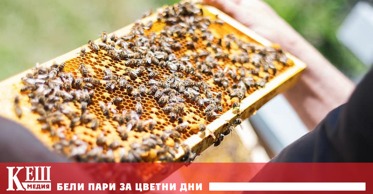 Броят на комерческите кошери във фермите нараства въпреки заплахата надвиснала