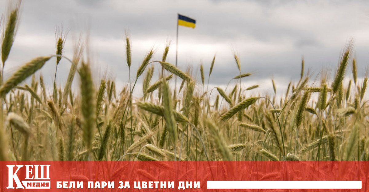 Забраната включва вноса на пшеница царевица рапица и слънчоглед от