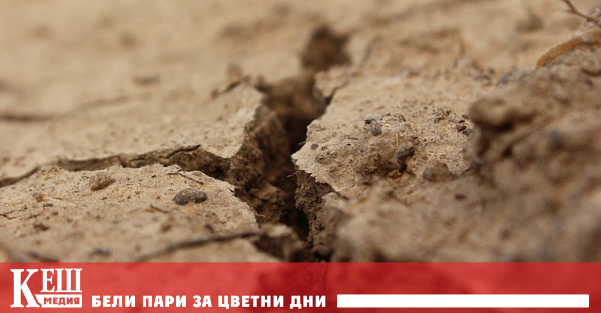Скорошните поройни дъждове обаче заобиколиха някои региони Литовските фермери бият