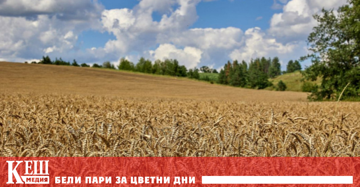 Румънските власти възнамеряват да накарат Европейската комисия да удължи забраната