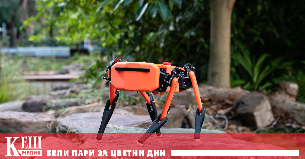 Студенти от Monash Engineering разработиха свой собствен аналог на Spot