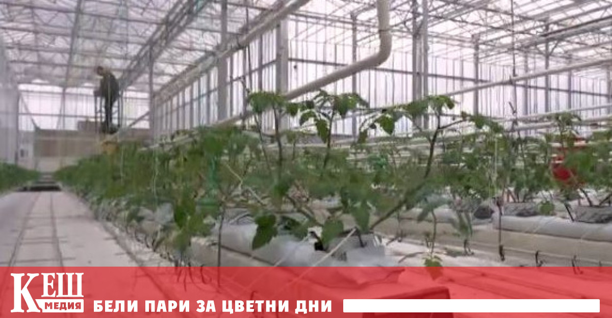 Фермата се отличава с енергийна автономност Проектът привлича вниманието на