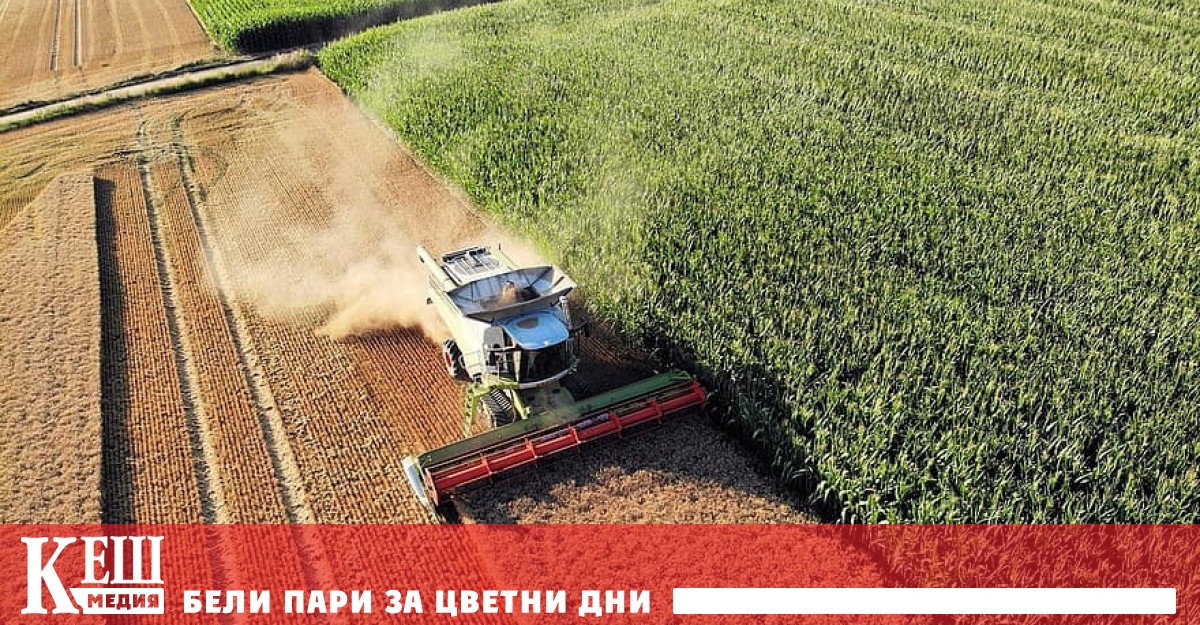 През 2022 г средната цена на сделките с ниви в