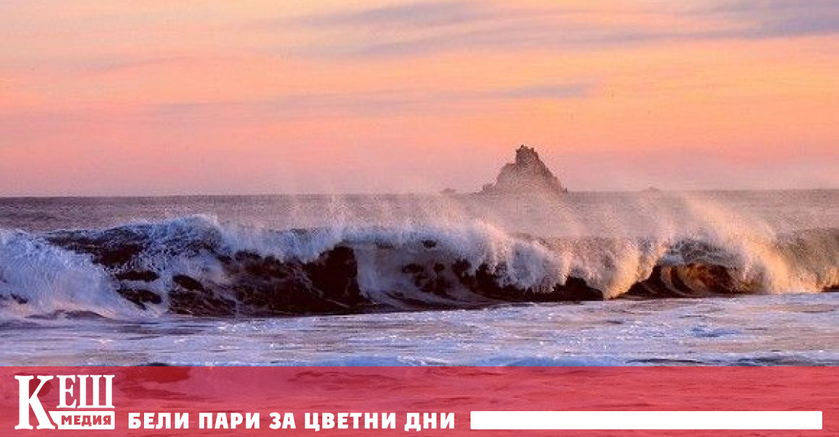 Тя също така се съмнява че телата на загиналите могат