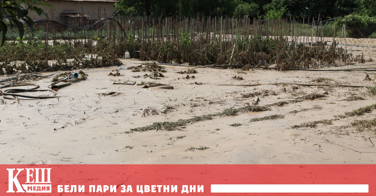 То бе обявено на 17 06 2023 г във връзка с преливането