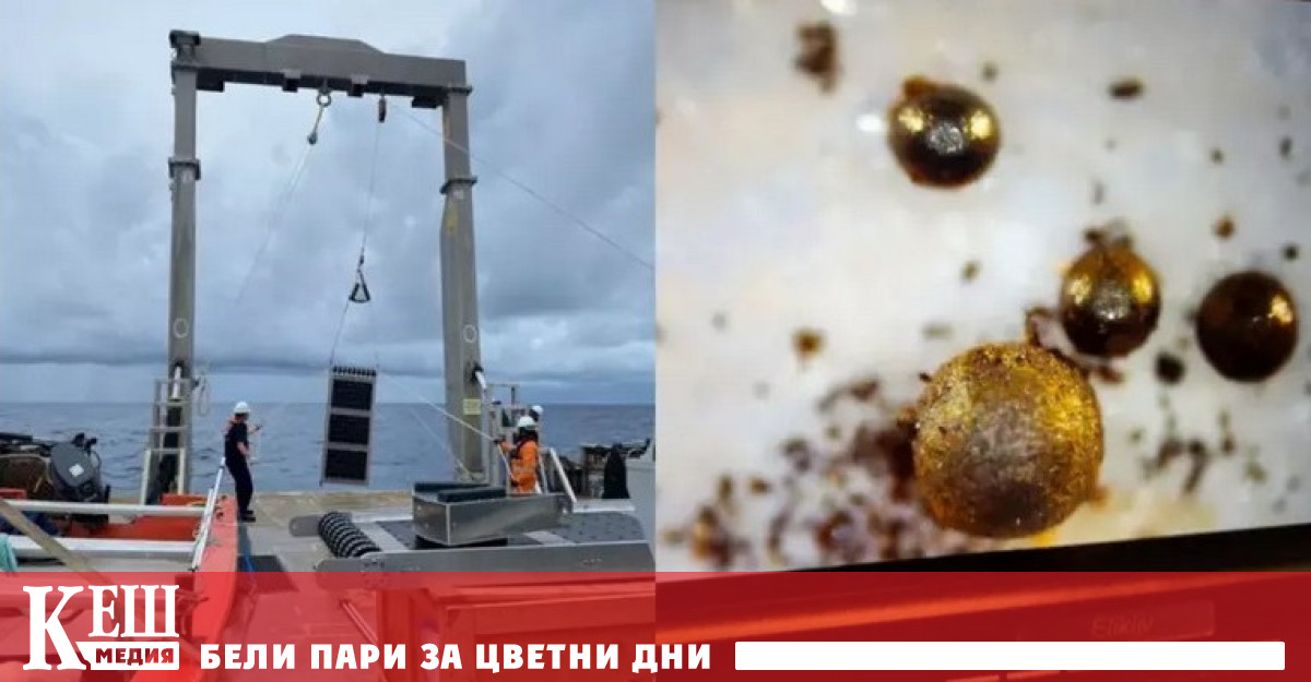 Екип от учени се огправи на необичайна мисия за откриване