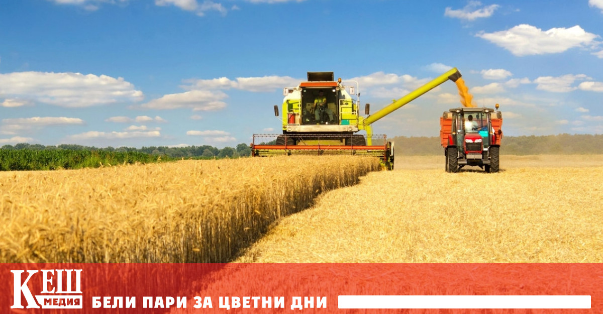 През селскостопанската 2022 2023 година от 1 юли 2022 г до