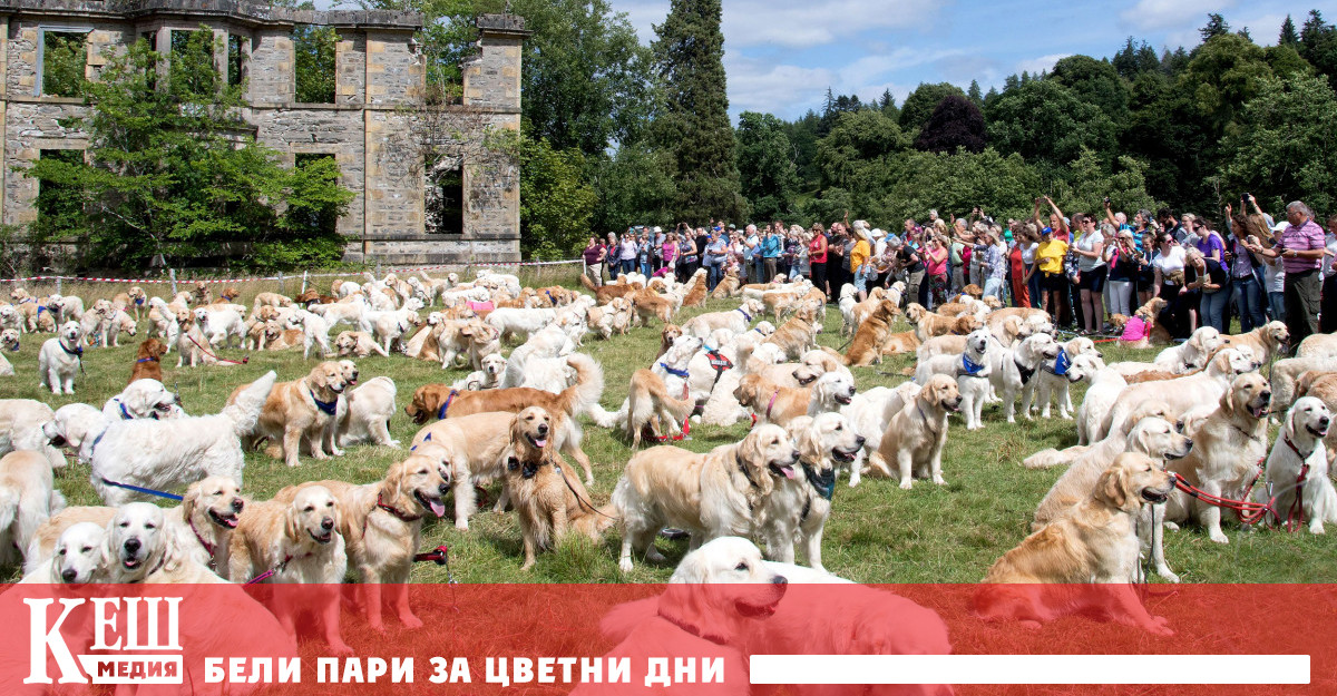 В Глен Африк Инвърнес и Каних Шотландия се събраха голдън