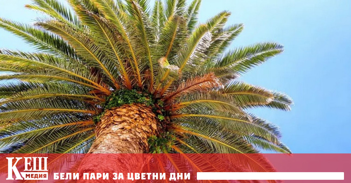 Ендокринологът и диетолог Екатерина Иванникова разказа пред списание ПостНаука за