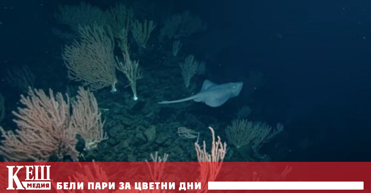 Преди началото на експедицията екипът смята че вулканът е угаснал