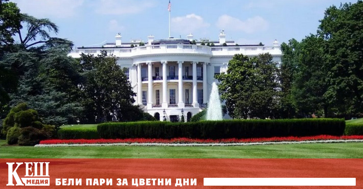 Седем водещи в отрасъла на ИИ компании се съгласиха да