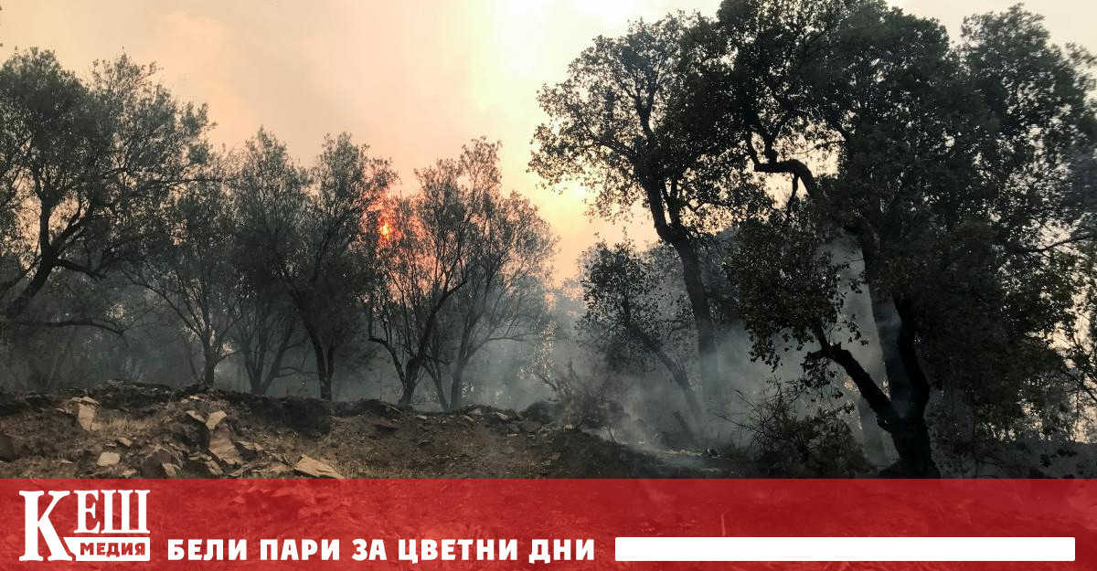 Най малко 15 души са загинали а други 25 са пострадали