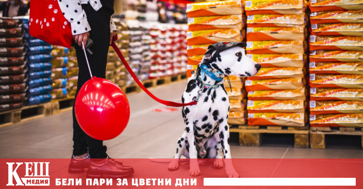 Игуаните и тарантулите са сред най търсените домашни животни у нас