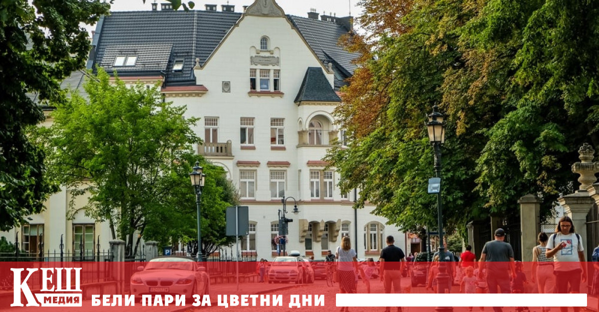 Най важни са дърветата които работят като естествени климатици в градовете