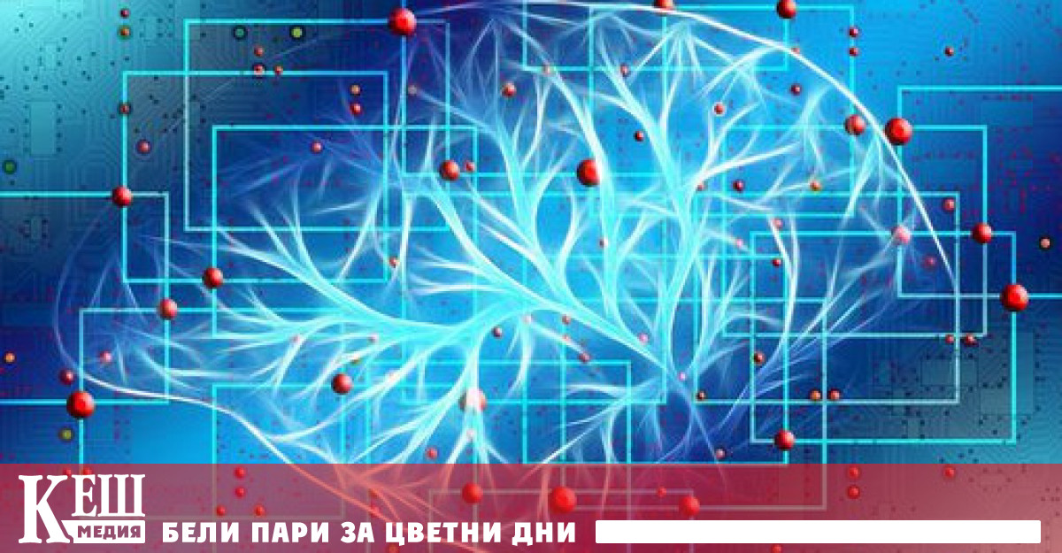 Мозъкът може да поправя увредената ДНК само в покой Ако това