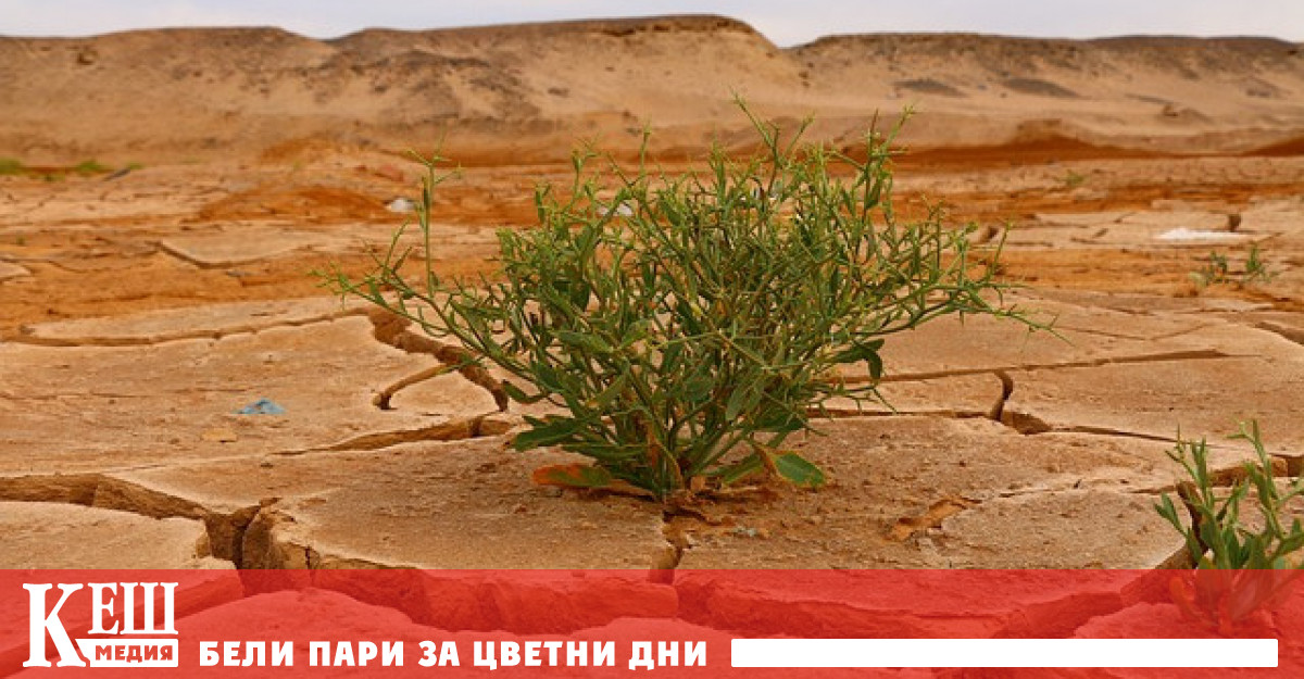 Глобалният провал в ограничаването на въглеродните емисии ще увеличи разходите