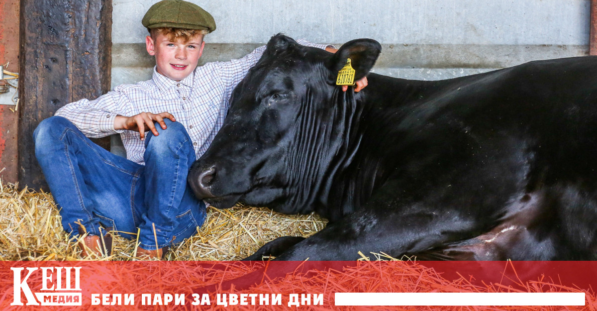 Всичко започнало през април 2019 г когато дядо му се