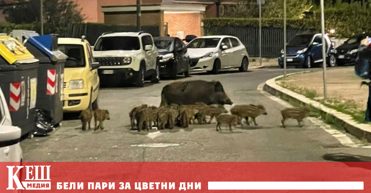 Агенция ANSA съобщи че в покрайнините на Катандзаро Калабрия от