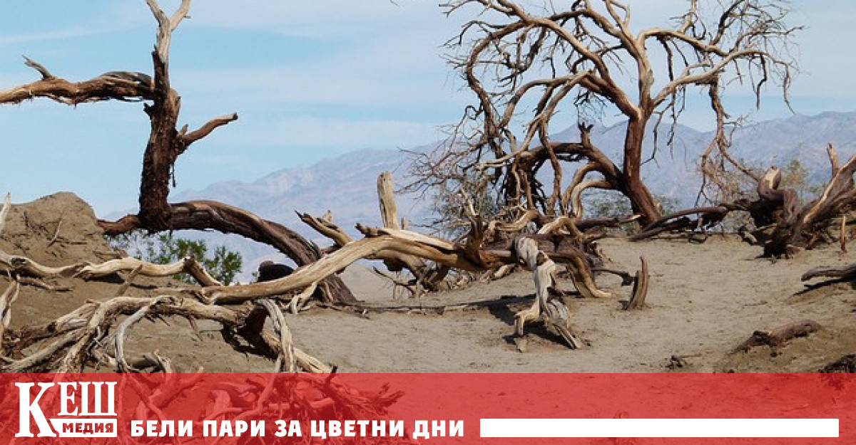 Юли 2023 г беше най горещият месец в историята Горещините продължават