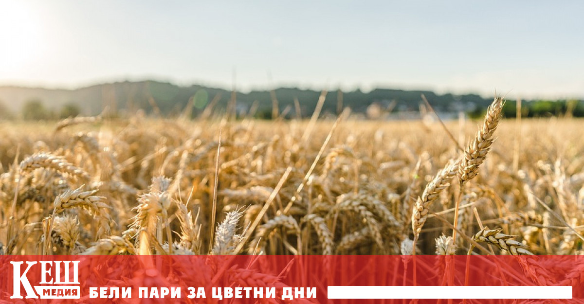 Една от ключовите транзитни точки на украинските товари и стоки