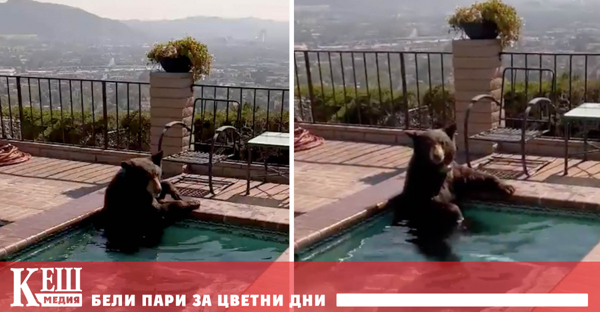 Полицията е получила от домакините молба за помощ около 15 30