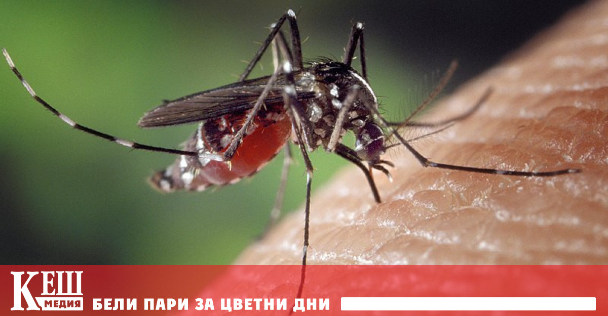 В Румъния се наблюдава рязък скок в случаите на заболяване