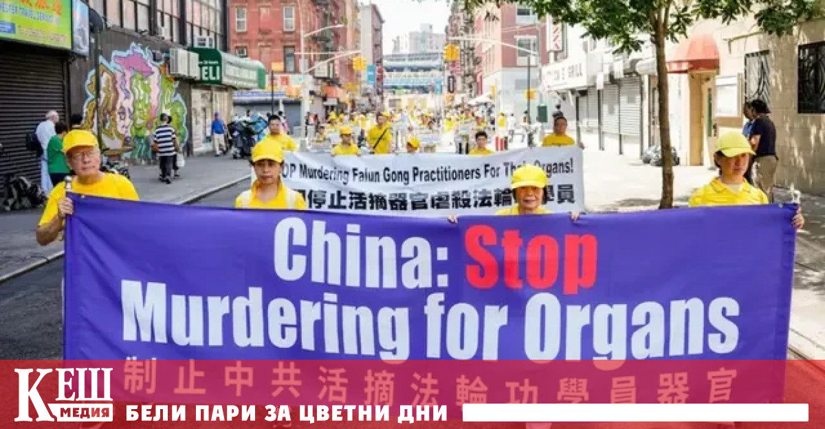 На 23 август международният адвокат по правата на човека Дейвид