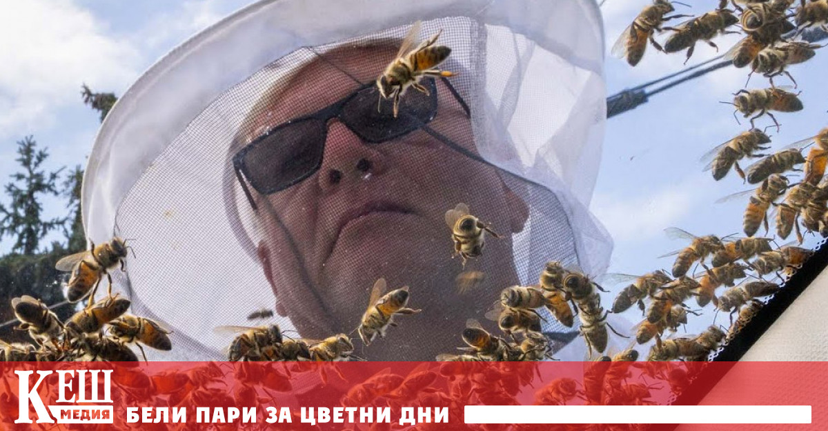 При инцидента в района на Бърлингтън Онтарио на около