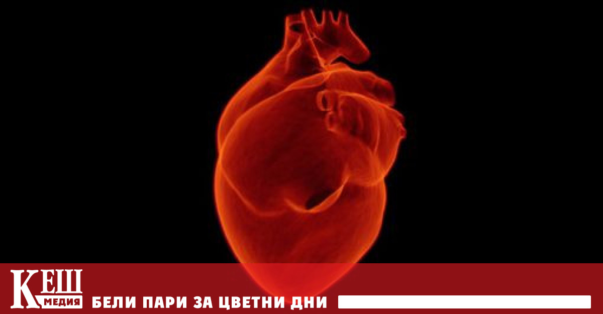 Те достигнаха най ниското си ниво през 2019 г според федералните