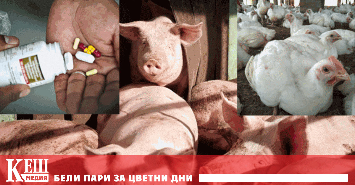 Старшият инспектор на NDA каза пред парламента че според подадената