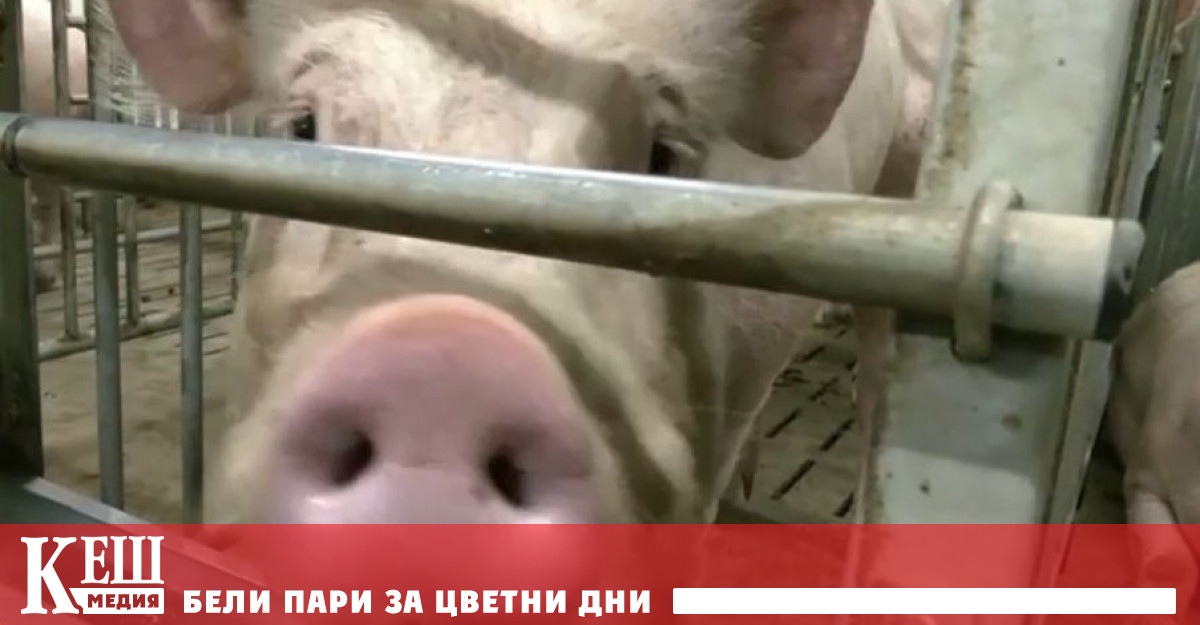 На новата платформа GoAgro която стартира тази седмица в Хърватия