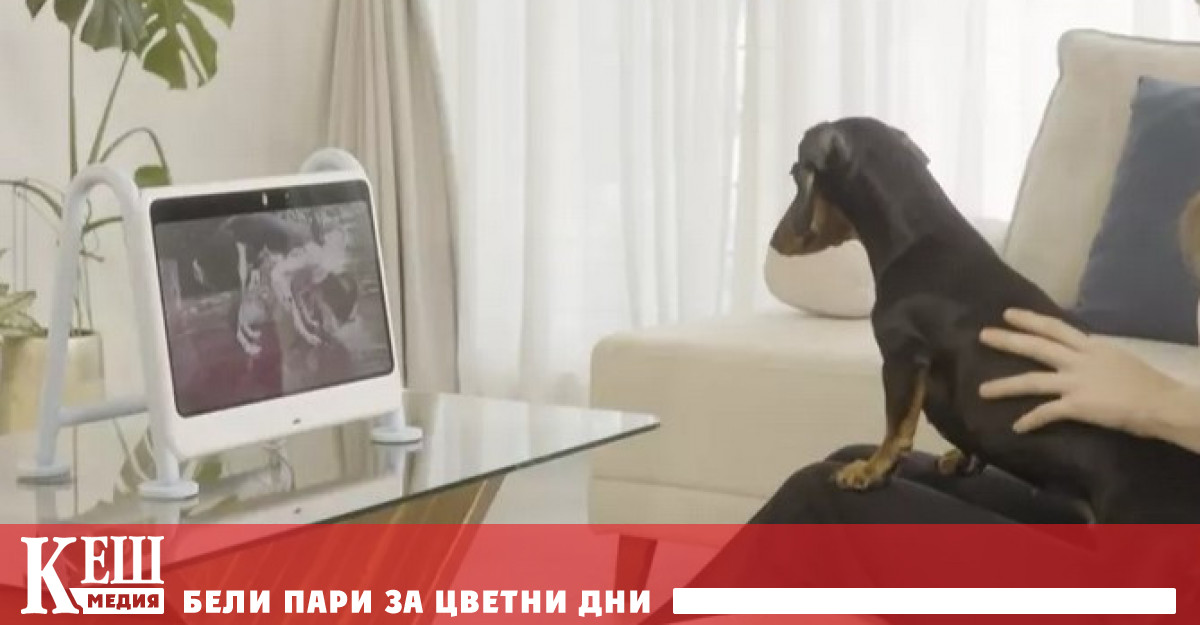 В Южна Корея стартъпът Sunny Wave Tech представи необичаен продукт