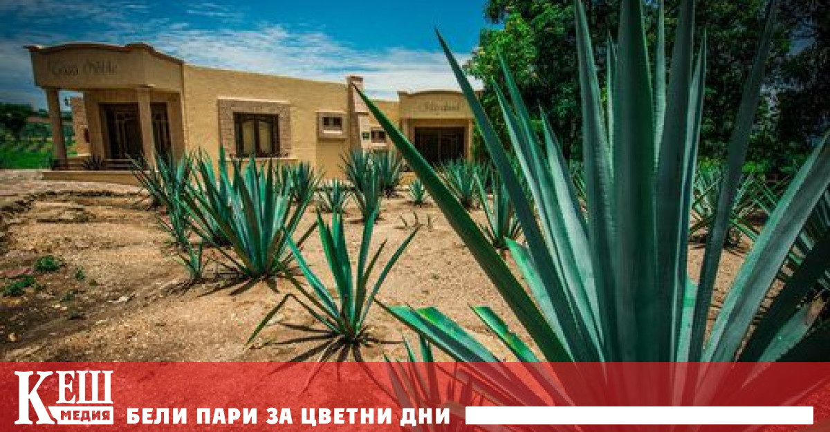 Повече от 12 000 експати представители на 171 националности и