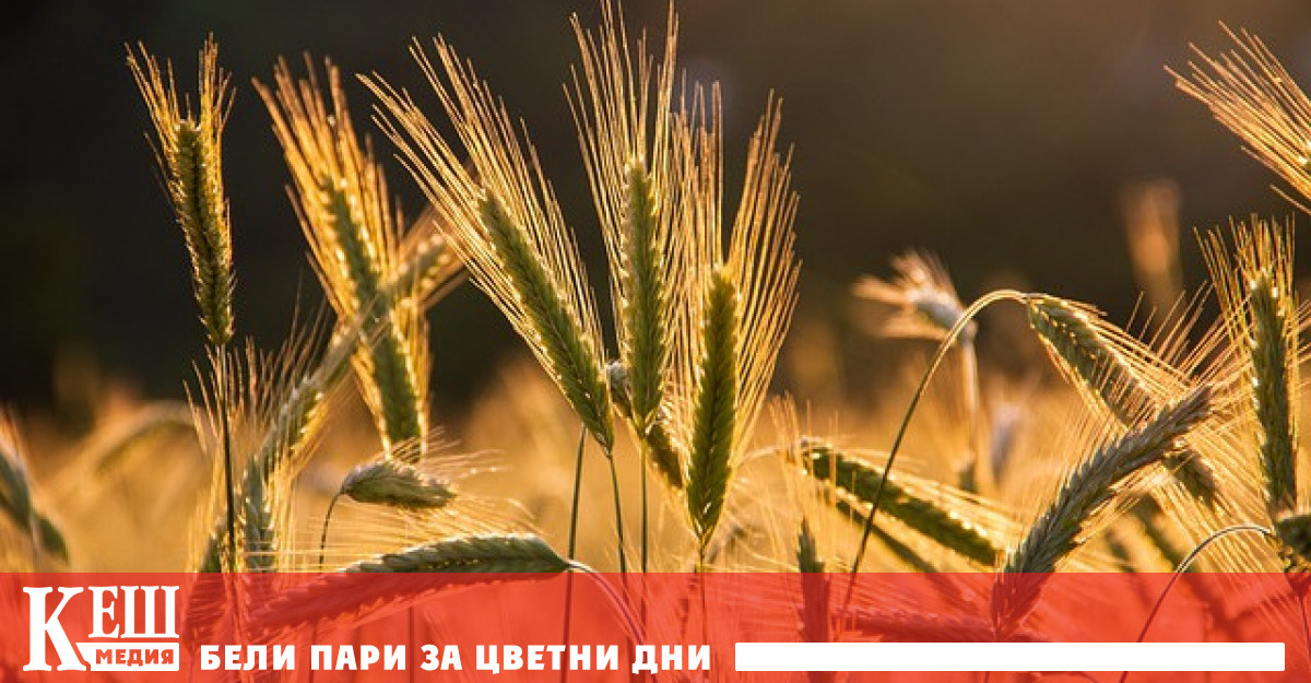 Въпреки протестите на редица страни от Източноевропейската общност по специално Полша