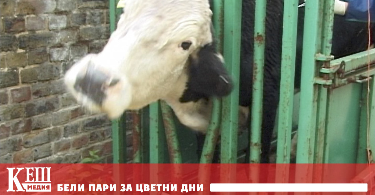 През март Швейцарската федерална служба за безопасност на храните и