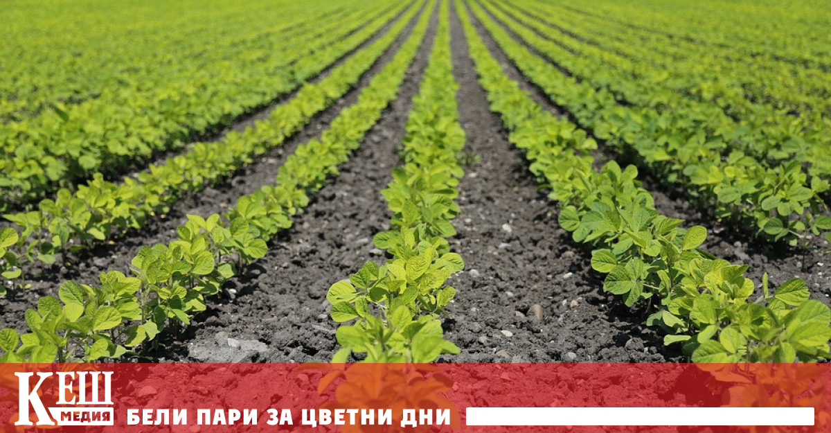 Правителството прие Постановление за одобряване на допълнителни разходи по бюджета