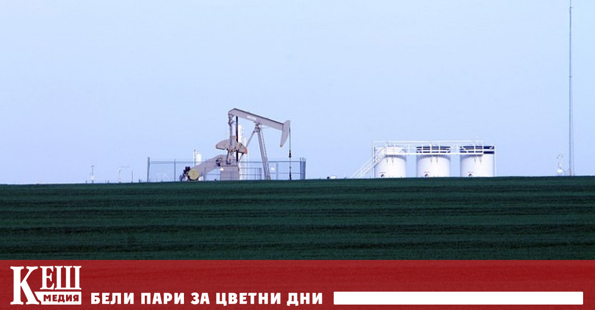 Снимка: Цените на петрола се повишават след спада вчера