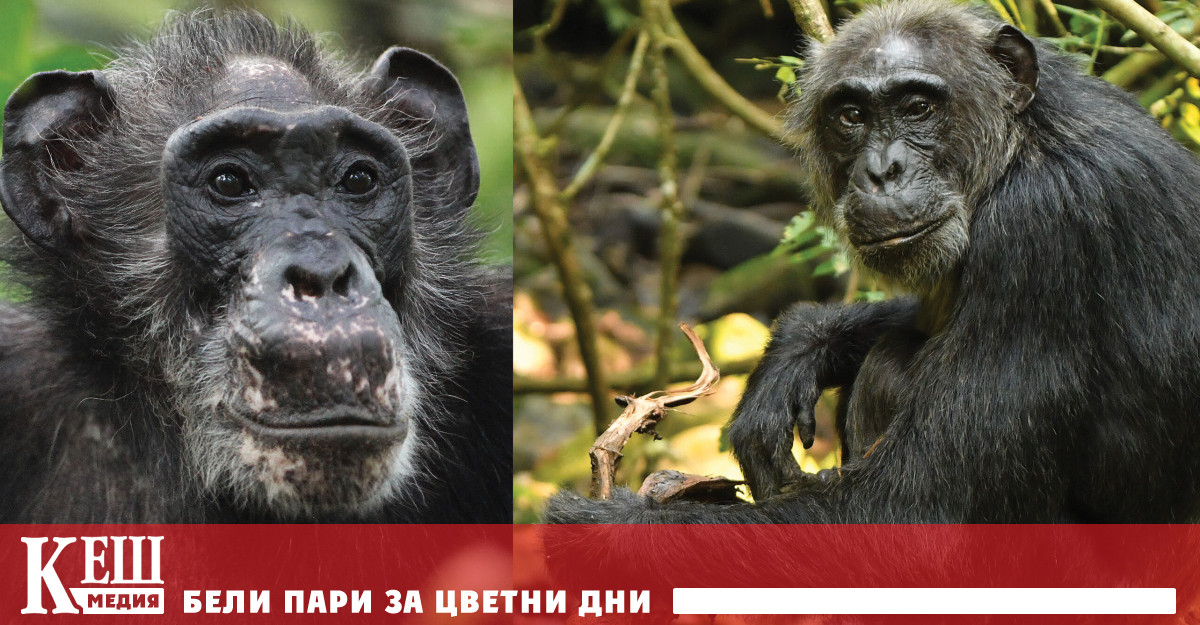 Изследване публикувано в сп Science разглежда демографски и ендокринни данни