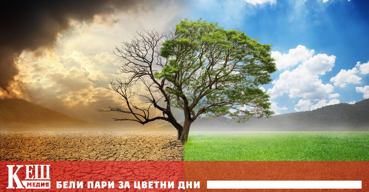 Според все още негласувания текст най малко 20 от сушата и